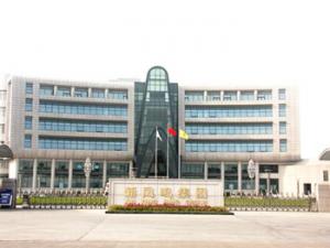 新鳳鳴集團股份有限公司